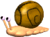 snail