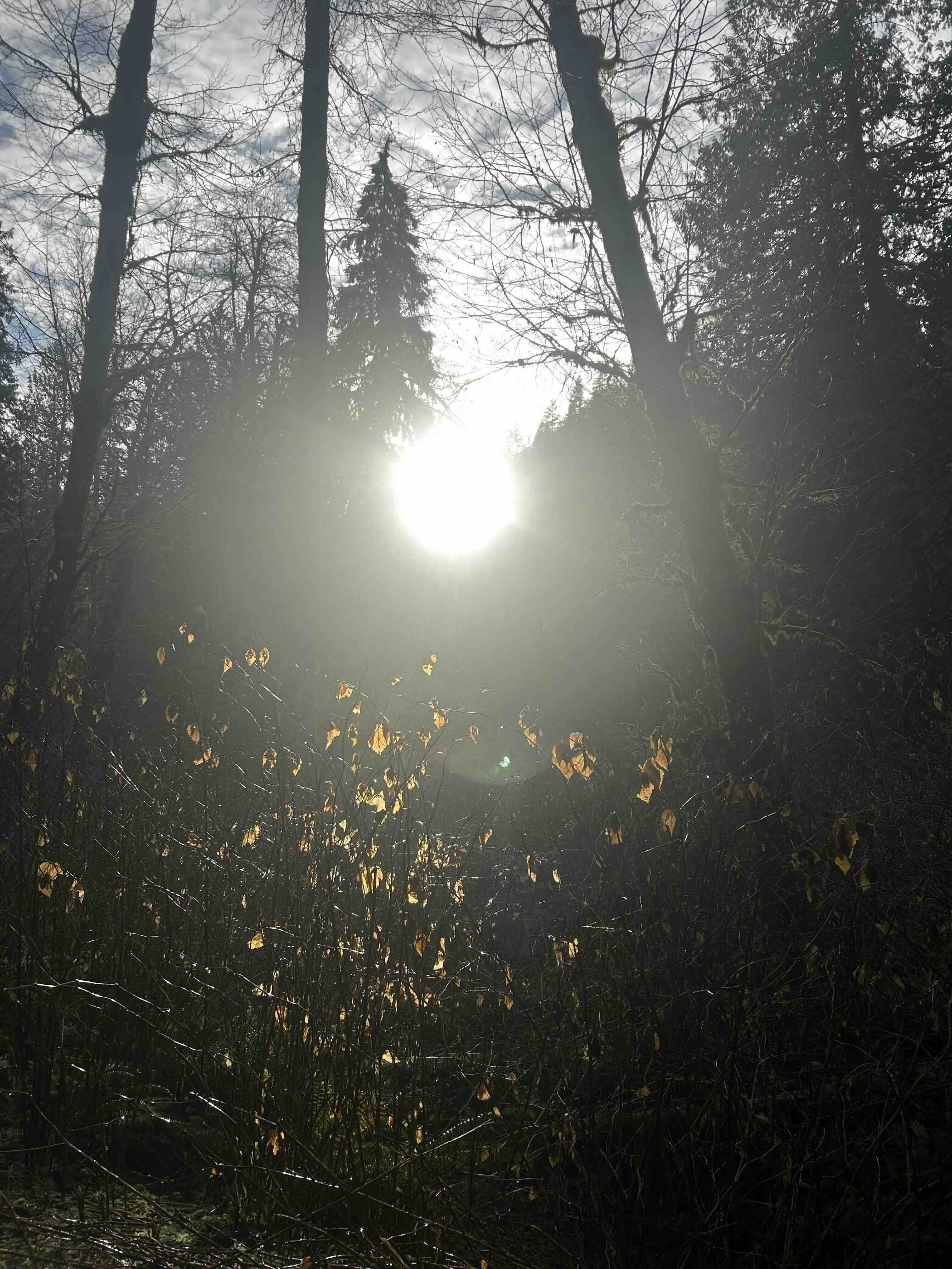 sun